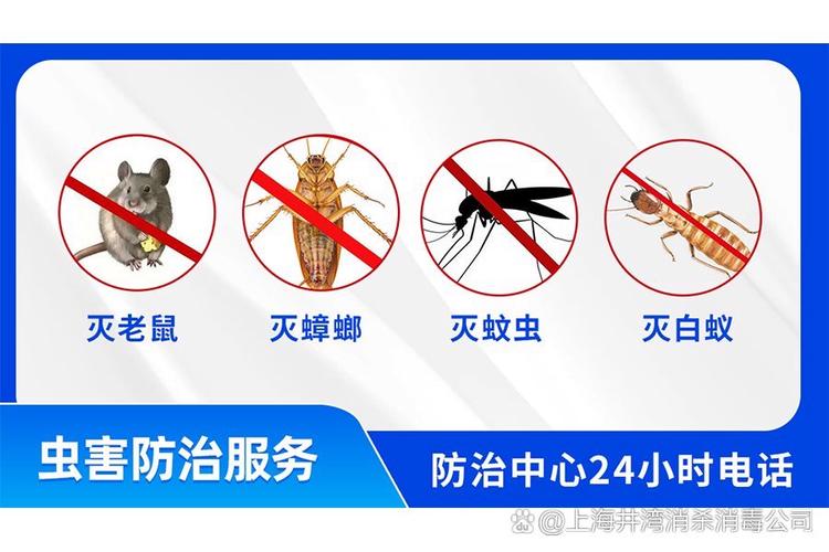 上海井湾生物科技公司专业除四害消杀,杀虫,除虫,灭虫公司,除老鼠,灭