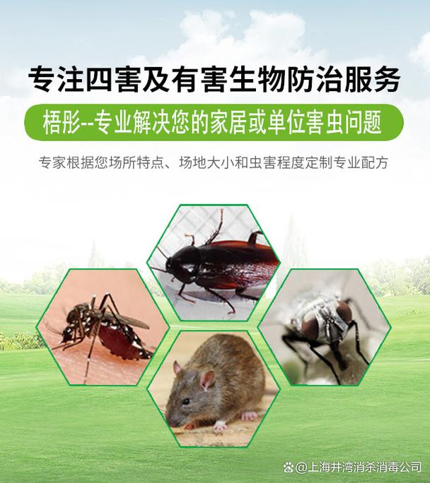 上海城市消杀公司除四害抓老鼠灭蜈蚣灭臭虫除螨虫快速咨询