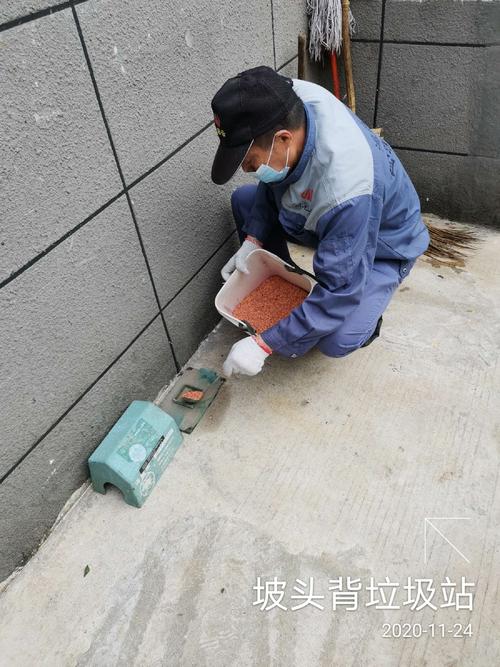 鸿彩云公司在龙城街道服务辖区进行"四害"消杀作业简报2020年11月24日
