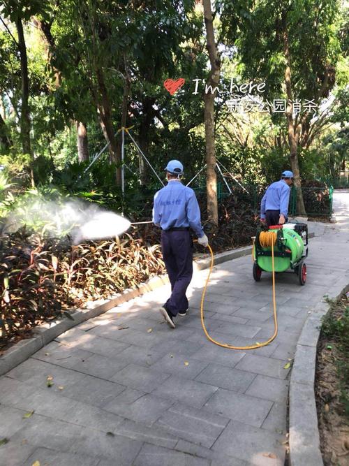 翔虹生态科技公司,29日在新安街道四害消杀工作动态