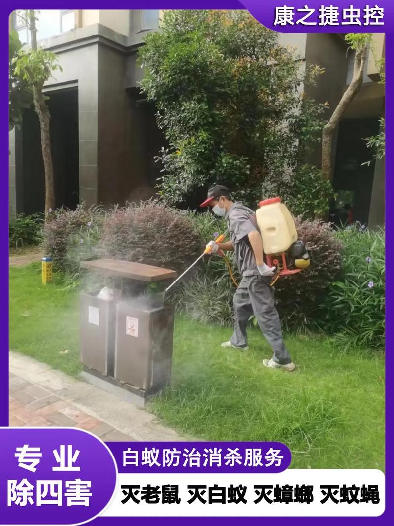 深圳宝安区灭四害公司,深圳白蚁消杀机构,康之捷灭鼠杀虫公司采