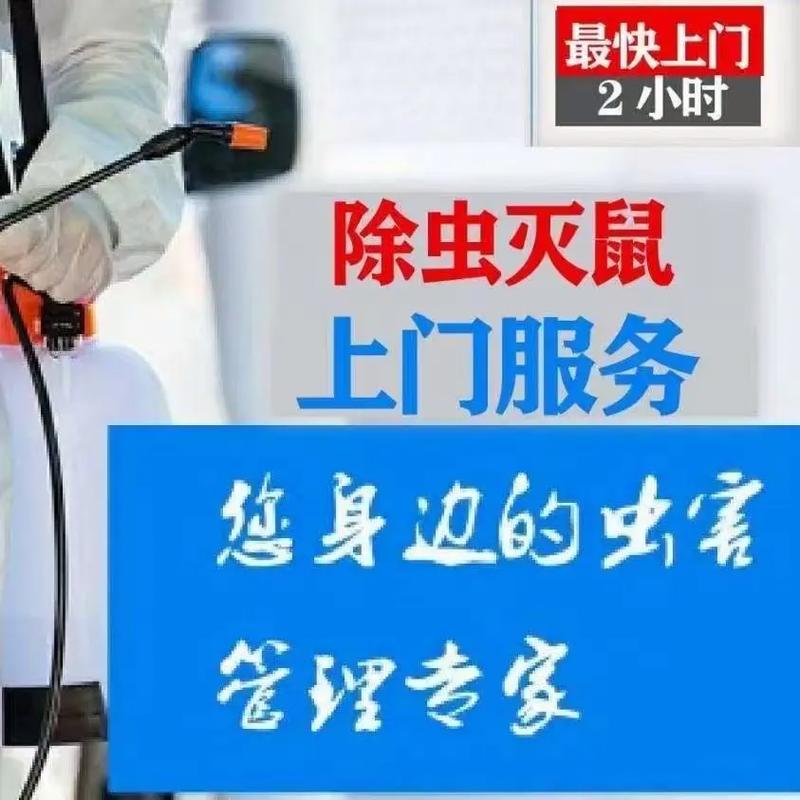 苏州餐饮店灭鼠杀虫灭蟑螂灭蚂蚁灭白蚁防治 灭四害消杀公司