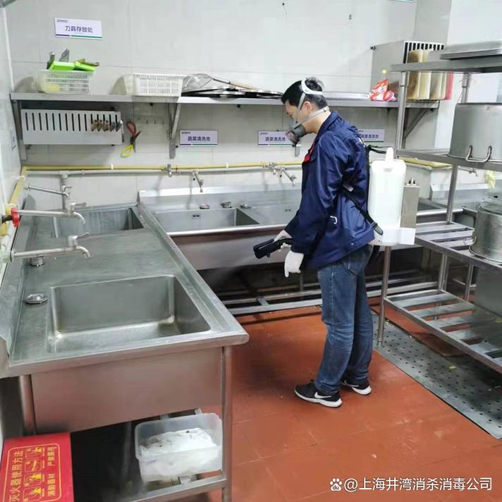 上海专业消杀服务 全面消灭四害，守护洁净空间