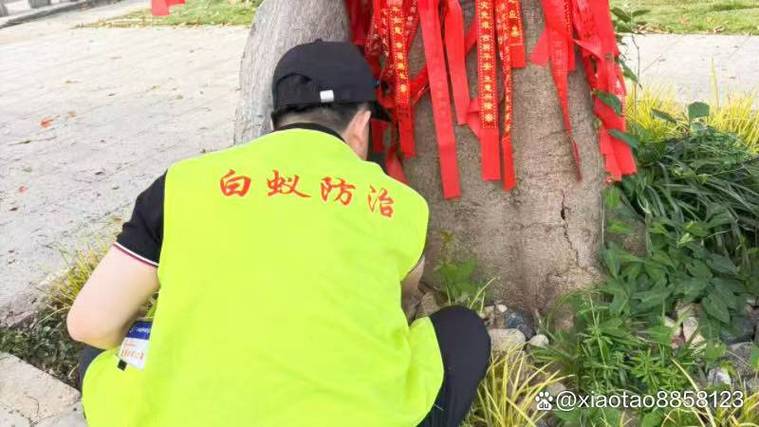 句容市灭臭虫公司电话 本地快速上门四害消杀服务