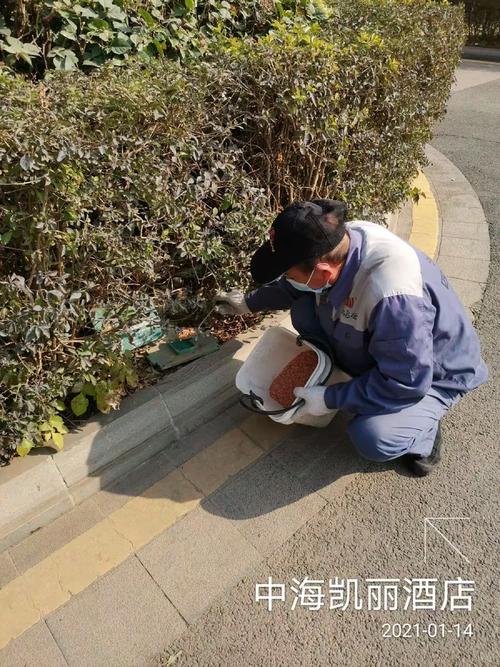 鸿彩云公司在龙城街道服务辖区进行"四害"消杀作业简报2021年1月14日